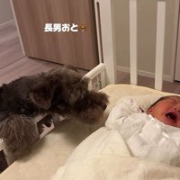おと君もご挨拶してくれました