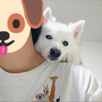 ひょっこり