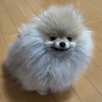 ヘラッ