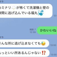別の日には…