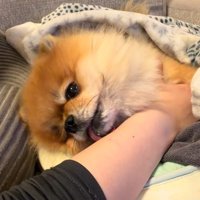 腕をペロペロ♪