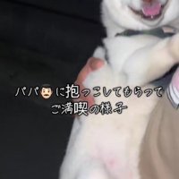 抱っこハラスメント！？