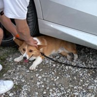 全然どいてくれません