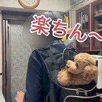 移動するバッキーくん