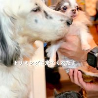 再会で見えたご家族の愛