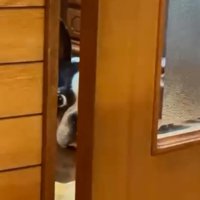 隙間から覗くマルタくん3