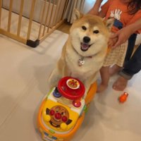 ポポちゃんとの思い出4