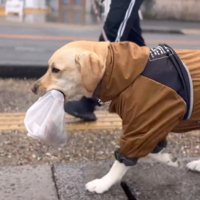 お家までパンを運んでくれます