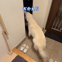パパが隠れた時のれお君8
