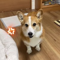 「どうして出してくれないの！」