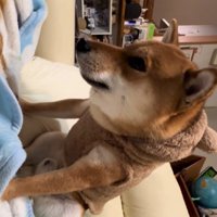 そんな姿も愛おしい