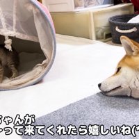 温かく見守るリコちゃん