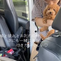「いっしょにいきたいな」