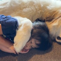 ぎゅっとハグする姿にキュン♡