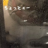 窓に顔を寄せる犬