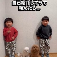 双子ちゃんに自己紹介をお願いしたら…？