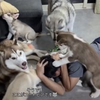 パパ「痛い！」
