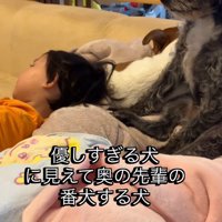 2匹と長女ちゃんが一緒にまったり♪