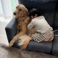 ACEくん、お困り…？