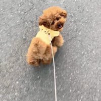 「調子がいい時」の笑顔