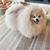 最強