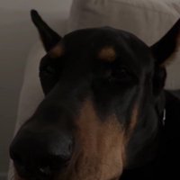 やっと寝られる～