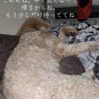 ママの夢を見ているかな？