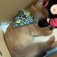 大物間違いなし…！？