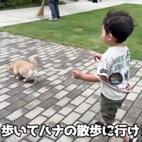上手にお散歩できています！