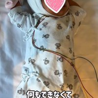 入院している赤ちゃん