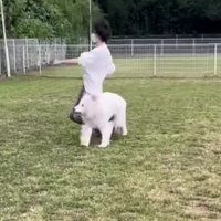 その場に倒れ込んだ！！