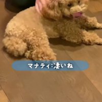 アニマルセラピーってスゴイ…！