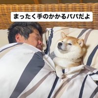 それでも添い寝する姿にキュン
