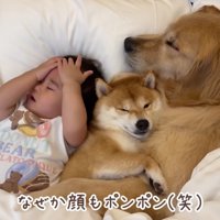 なかなか寝付けない…