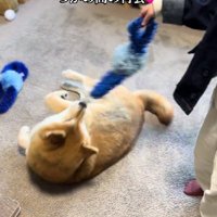 楽しい時間はあっという間