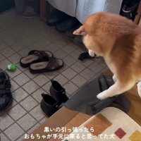 「これを引き寄せれば…」