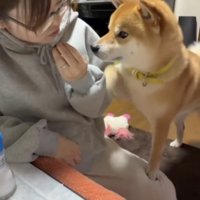 食べるフリとおねだり