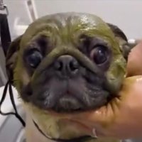 あだ名