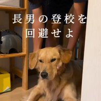 学校に行かせたくなくて通せんぼ！