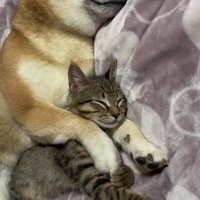 仲良しで可愛い♡