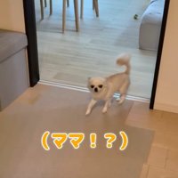 5日ぶりにママと再会♡