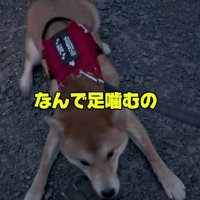 嬉しさが止まらない