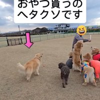 おやつがもらえないにこちゃん