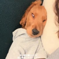 ものすごい寝顔に！！