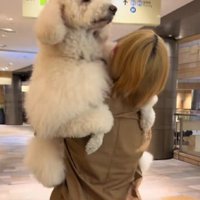 前が見えなくなるほど…