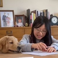 宿題に手をつける女の子