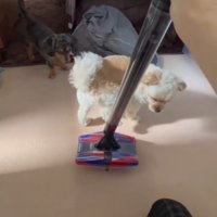 横目で様子をうかがって…