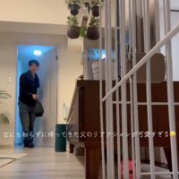 お父さんが帰宅