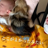 赤ちゃんとくるみちゃん1