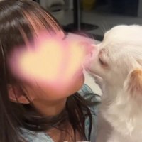 お姉ちゃんを慰めるニコちゃん